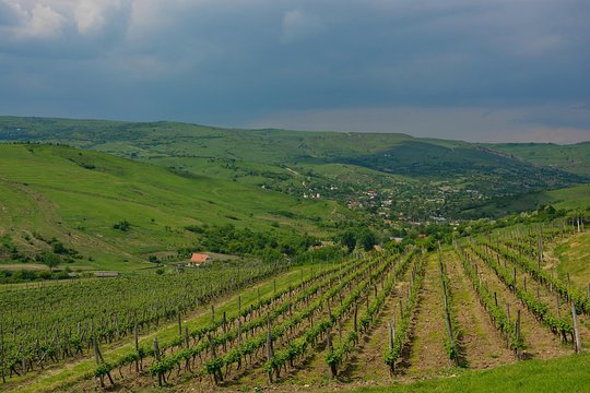 Tour image 6