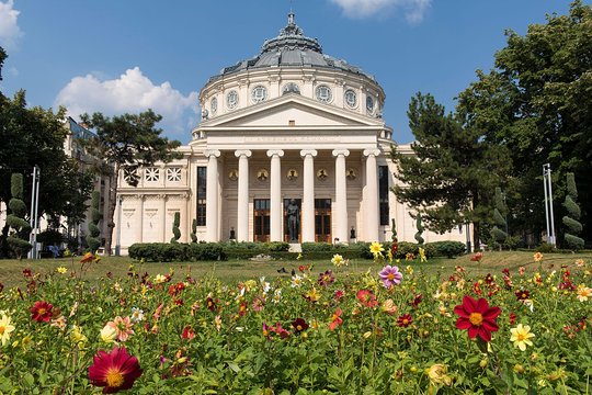 Tour image 6