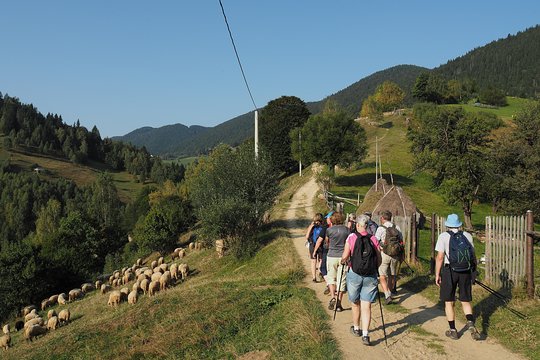 Tour image 4