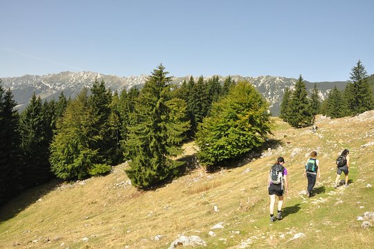 Tour image 8