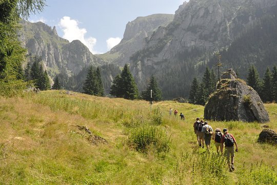 Tour image 13