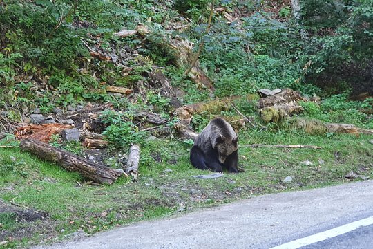 Tour image 10