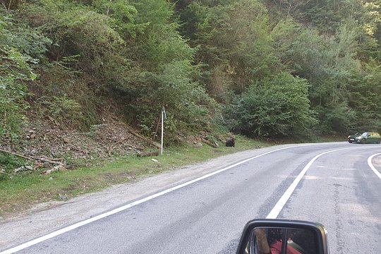 Tour image 8
