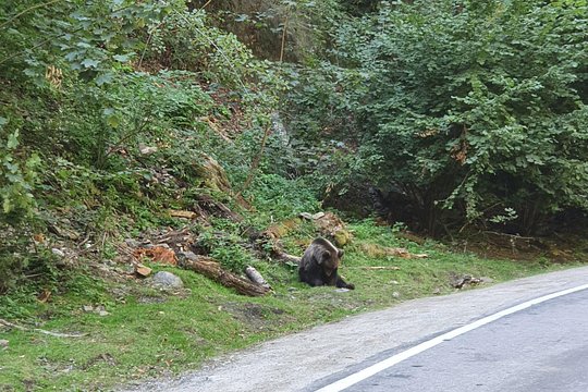 Tour image 9