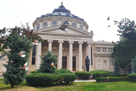 Tour image 7