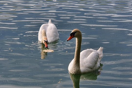 Tour image 12