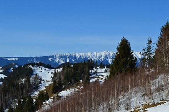 Tour image 7