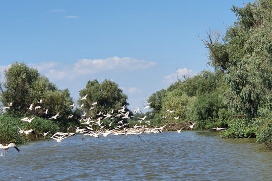 Tour image 4
